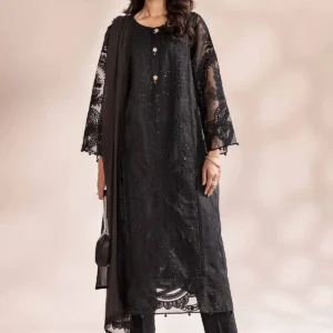 3 Piece Embroidered Organza Suit | DW-MN24-01