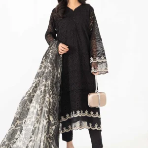 3 Piece Embroidered Bemberg Chiffon Suit | DW-MN24-10